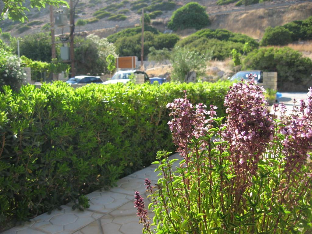 "Villa Kanavos" Apts Matala  Room photo